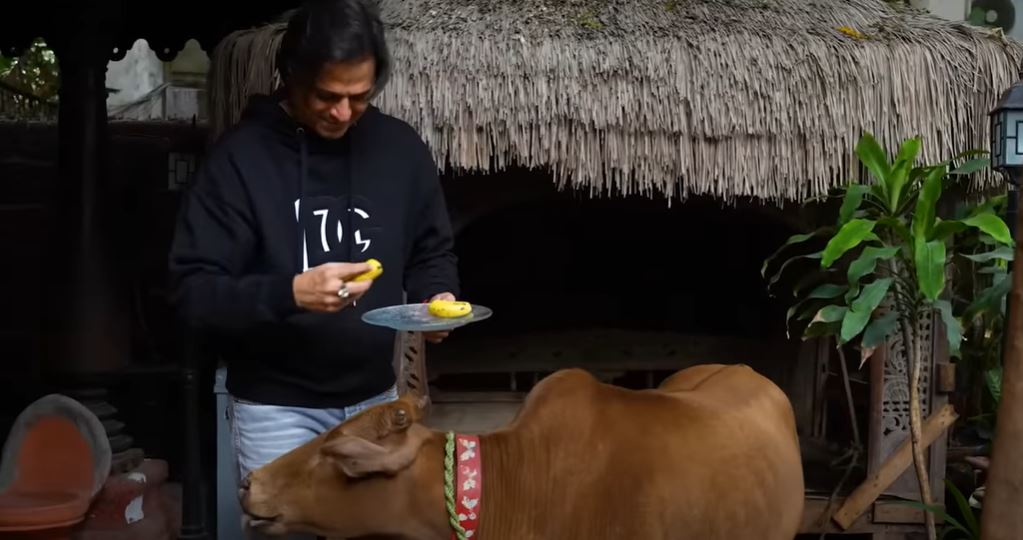 Vivek Oberoi Has A Cow And A 50-Year-Old Bed In His Mumbai Home Designed Like A Goan Farmhouse, WATCH