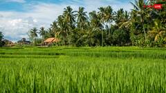 भारत में इस जगह लोगों के बिस्तर में सो जाते हैं सांप, हर घर में रहता है किंग कोबरा