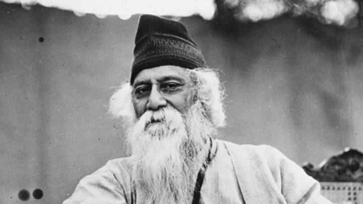 জাতীয়তাবাদী চিন্তার মধ্যে ক্ষমতা, আধিপত্য এবং সংগ্রামের বীজ লুকিয়ে রয়েছে,যা মানবজাতি এবং সমাজব্যবস্থায় ভিন্নতা সৃষ্টি করে এবং ব্যক্তি স্বাধীনতাকে আহত করে বলে মত ছিল কবির। -ফাইল চিত্র।