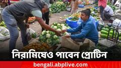 প্রোটিনের অভাব পূরণ, গরমে মাংস বা মাছ না খেয়ে খেতে পারেন এই নিরামিষ খাবারগুলো