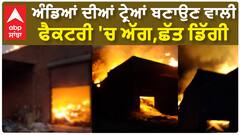 Sangrur Factory Fire|ਆਂਡਿਆਂ ਦੀਆਂ ਟ੍ਰੇਆਂ ਬਣਾਉਣ ਵਾਲੀ ਫੈਕਟਰੀ 'ਚ ਅੱਗ,ਛੱਤ ਡਿੱਗੀ