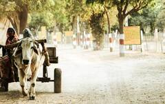 4 ਸੂਬਿਆਂ ਦੀਆਂ ਸਰਹੱਦਾਂ ਨਾਲ ਘਿਰਿਆ ਆਹ ਜ਼ਿਲ੍ਹਾ, ਜਾਣੋ ਇਸ ਸੂਬੇ ਦੀ ਦਿਲਚਸਪ ਕਹਾਣੀ