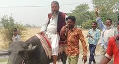 भैंस पर बैठ नामांकन दाखिल करने पहुंचे नेताजी, इस गलती की वजह से अधूरा रह गया सपना