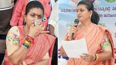 పందులు పందులే, నన్ను వెన్నుపోటు పొడుస్తు్న్నారు - రోజా ఆవేదన