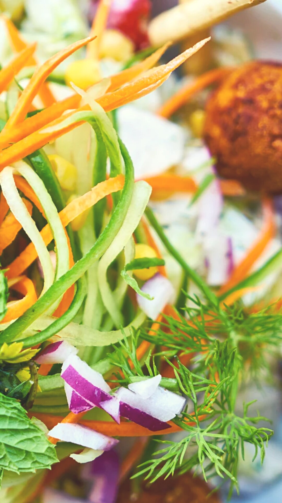 Tips To Get Essential Nutrients From Plant Based Diet tips-to-get-essential-nutrients-from-plant-based-diet