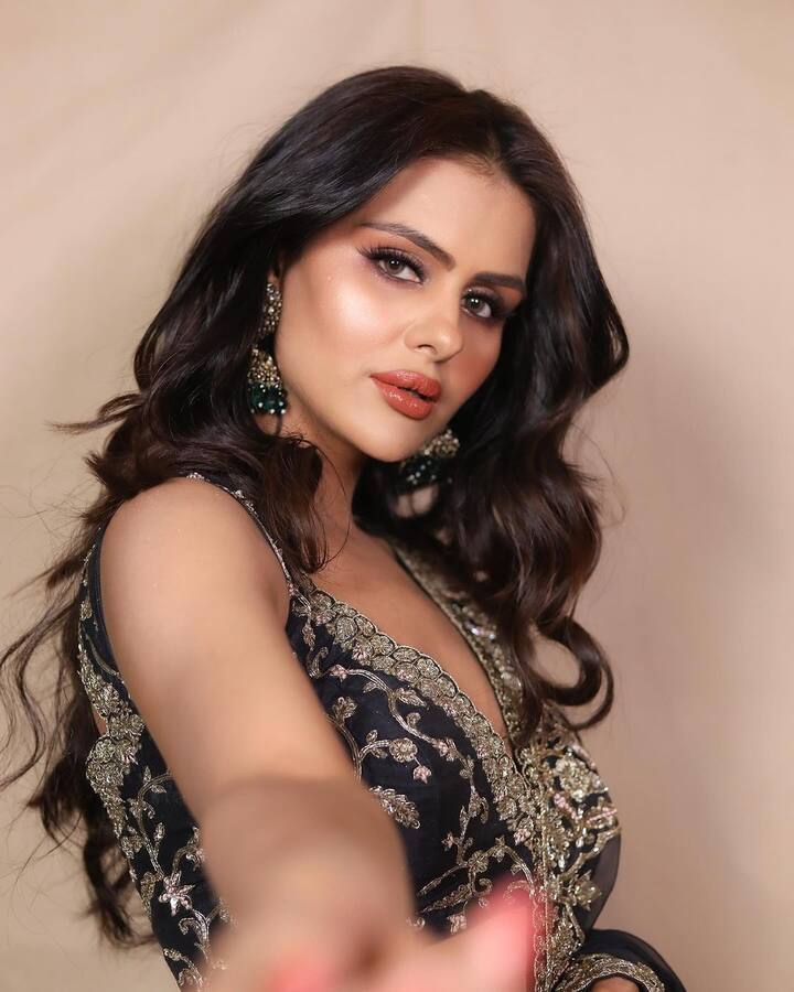 प्रियंका चौधरी ने सीरियल 'उडारियां' से टीवी पर डेब्यू किया था. इस सीरियल के बाद ही वो बिग बॉस में आईं. लेकिन बिग बॉस के बाद प्रियंका टीवी से दूर हैं. एक्ट्रेस ने इसकी वजह भी बताई है.