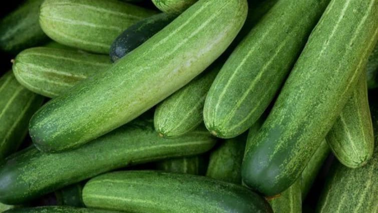 Cucumber Keep these things in mind while buying cucumber know the way to remove bitterness Cucumber Selection Method: ਖੀਰਾ ਖਰੀਦਣ ਸਮੇਂ ਇਨ੍ਹਾਂ ਗੱਲਾਂ ਦਾ ਰੱਖੋ ਧਿਆਨ, ਜਾਣੋ ਕੌੜਾਪਣ ਦੂਰ ਕਰਨ ਦਾ ਤਰੀਕਾ