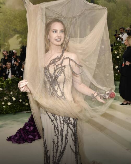 सिंगर लाना डेल की ड्रेस भी बेहद अजीब थी. उन्होंने सूखे पेड़ की डिजाइन जैसी ड्रेस पहनी थी. उनकी ड्रेस के ऊपर अजीब तरीके से जाली लटक रही थी.