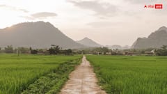 भारत में इस जगह लोगों के बिस्तर में सो जाते हैं सांप, हर घर में रहता है किंग कोबरा