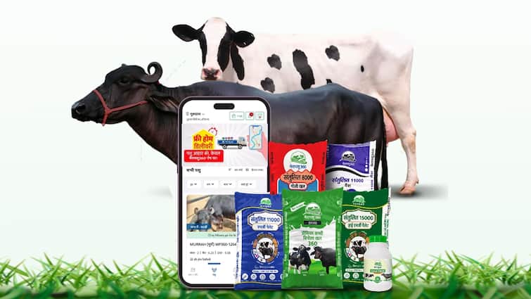 MeraPashu360 Startup Meeting Rural Dairy Farming Needs With Doorstep Delivery Of Cattle And Feed Now, An App For Home Delivery Of Cattle: How MeraPashu360 By IIT Madras Alumni Aims To Help Dairy Farmers