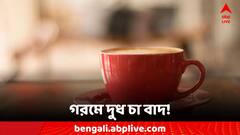 Milk Tea: গরমে নয় এই চা, হতে পারে মারাত্মক ক্ষতি