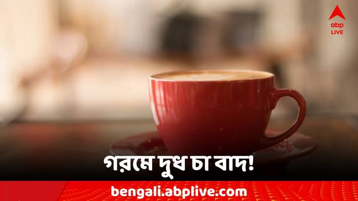 Lifestyle Tips: কোন চা পানে হতে পারে সমস্যা?