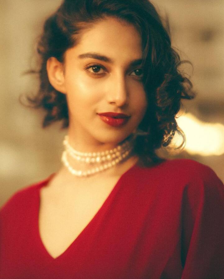 మీనాక్షి చౌదరి(Images Source : Instagram/Meenakshi Chaudhary)