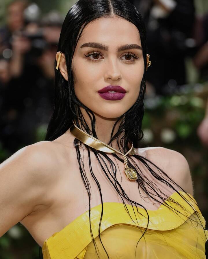 22 वर्षीय फॅशन स्टार आणि मॉडेल अमेलिया ग्रे हॅमलिनने मेट गालामध्ये पदार्पण केले. तिने ऑफ शोल्डर यलो शॉर्ट ड्रेस घातला होता. या ड्रेसच्या खाली एक पारदर्शक गोलाकार आकाराचा ग्लोब होता.