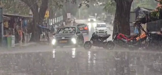 Unseasonal Rain: ડાંગ જિલ્લાના વાતાવરણમાં આવ્યો પલટો, સાપુતારા સહિત તળેટી વિસ્તારમાં વરસાદ