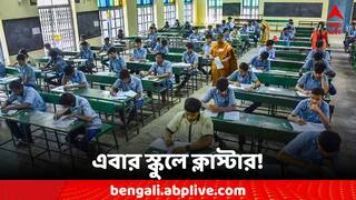 WBCSHE: ক্লাস্টার কনসেপ্টে ক্লাসের ব্যবস্থা! শিক্ষকের ঘাটতি মেটাতে কী ভাবনা সংসদের?