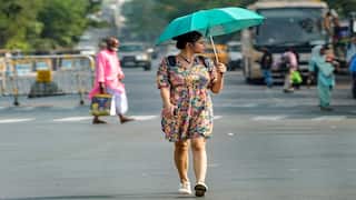 Ahmedabad Weather Report: અમદાવાદમાં કાળઝાળ ગરમી, 43 ડિગ્રી સુધી પહોંચ્યો પારો, જાણો કેવું રહેશે આગામી દિવસોનું હવામાન