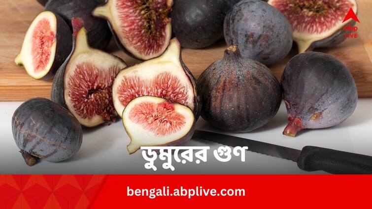 Fig In Summer Health Benefits Nutrients And Amount Bengali News Fig In Summer: গরমে কেন খাবেন ডুমুর ? কতটা খেলে উপকার ?