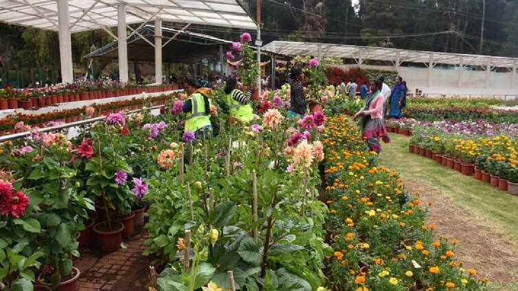 Ooty Flower Show 2024 Nilgiris District Local Holiday TNN Nilgiris Local Holiday: உலகப் புகழ்பெற்ற உதகை மலர்க்கண்காட்சி; நீலகிரி மாவட்டத்திற்கு விடுமுறை அறிவிப்பு