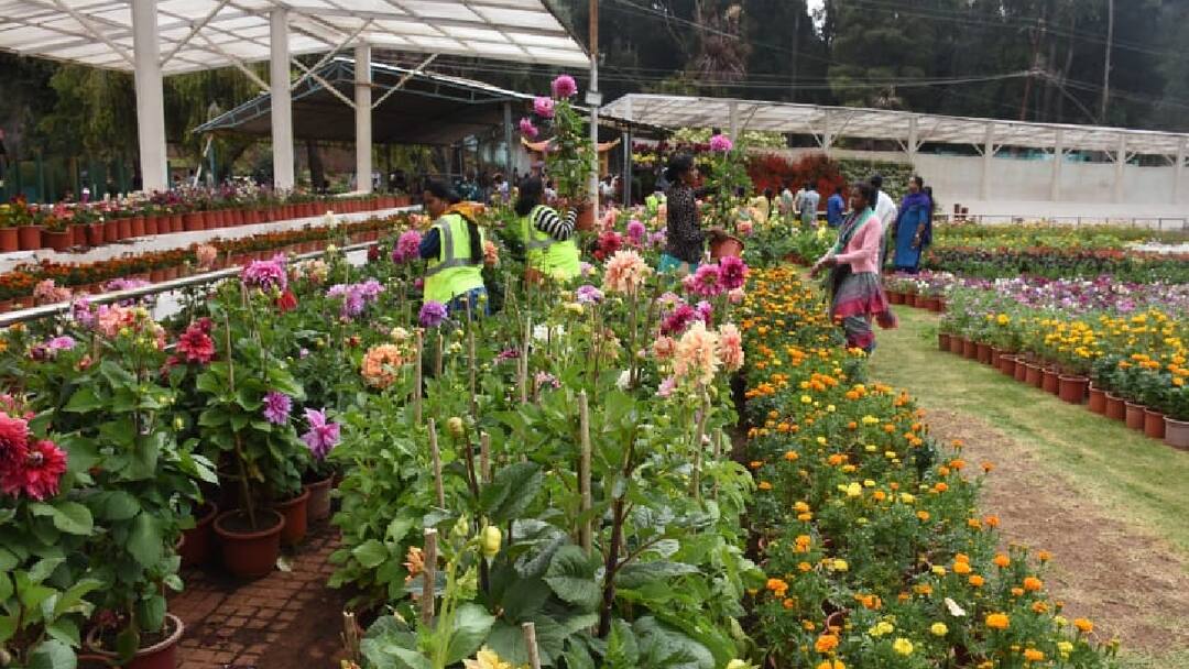 Nilgiris Local Holiday: உலகப் புகழ்பெற்ற உதகை மலர்க்கண்காட்சி; நீலகிரி மாவட்டத்திற்கு விடுமுறை அறிவிப்பு