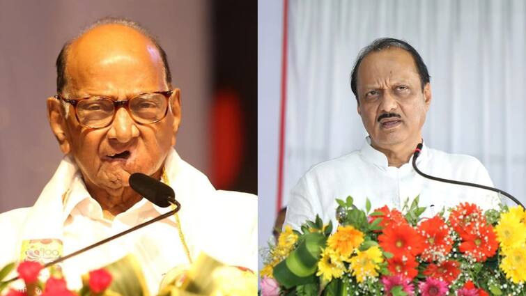 Ajit Pawar Speech One said if Saheb had not given him the opportunity, Dada would have kept the buffalo, Ajit Pawar's brilliant reply Maharashtra Politics Marathi News Ajit Pawar on Sharad Pawar : एकजण म्हणाला साहेबांनी संधी दिली नसती तर दादा म्हशी राखत असते, अजितदादांचं भन्नाट उत्तर