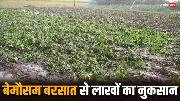 Bastar farmers crops damaged due to unseasonal rain loss of lakhs of rupees ann बेमौसम बारिश से बस्तर के किसान परेशान, फसल खराब होने से लाखों का नुकसान, सब्जियां महंगी