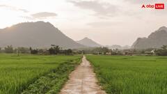 Viral news: भारत का ऐसा गांव जहां 50 सालों से नहीं निकली कोई बारात, नाम पड़ गया बैचलर विलेज