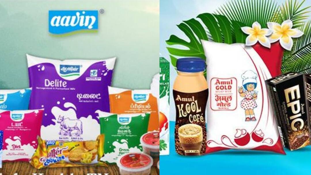 தமிழ்நாட்டில் ஆவினுக்கு போட்டியாக களமிறங்குகிறதா அமுல்? பால்வளத்துறை சொன்ன பதில் இதுதான்! Amul launches sales to compete with Aavin What did the Tamilnadu Dairy Department say தமிழ்நாட்டில் ஆவினுக்கு போட்டியாக களமிறங்குகிறதா அமுல்? பால்வளத்துறை சொன்ன பதில் இதுதான்!
