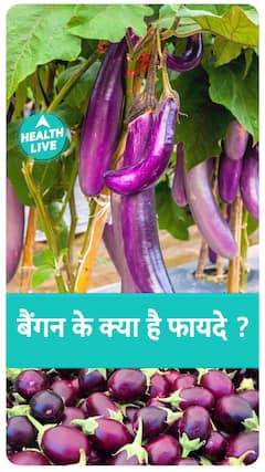 बैंगन खाने के क्या है फायदे ? | Eggplant | Brinjal | Health Live