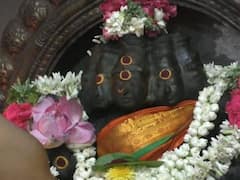 கரூர் தேர் வீதி காயத்ரி அம்மனுக்கு அமாவாசை சிறப்பு அபிஷேகம் - பக்தர்கள் சாமி தரிசனம்