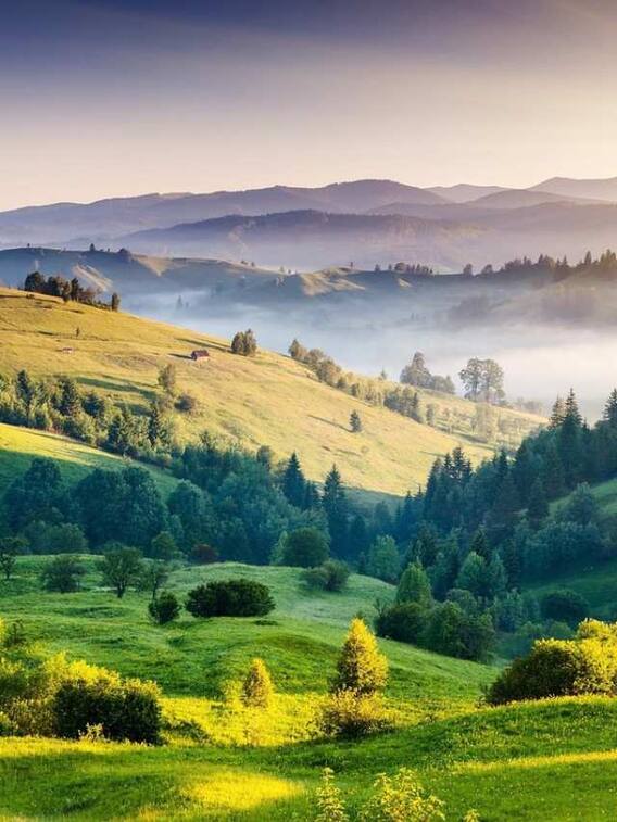 भारत में ही इन जगहों पर नहीं जा सकते भारतीय