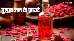 Rose Water: गर्मी के दिनों में इस चीज को रोजाना अपने चेहरे पर लगाने से त्वचा रहेगी स्वस्थ