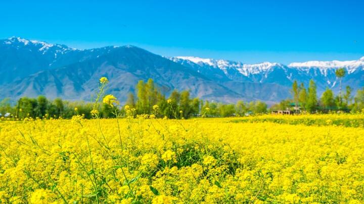 यह पैकेज 6 दिन और 5 रात का है. इस पैकेज की शुरुआत की 7 जून से होगी. इसका लुत्फ 14 जून, 2024 तक उठा सकते हैं.