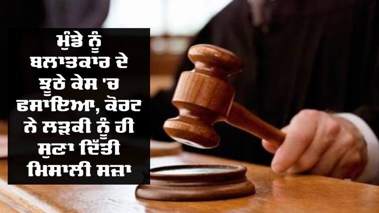 istoric decision of Bareilly court in false rape case Court News: ਮੁੰਡੇ ਨੂੰ ਬਲਾਤਕਾਰ ਦੇ ਝੂਠੇ ਕੇਸ 'ਚ ਫਸਾਇਆ, ਕੋਰਟ ਨੇ ਲੜਕੀ ਨੂੰ ਹੀ ਸੁਣਾ ਦਿੱਤੀ ਮਿਸਾਲੀ ਸਜ਼ਾ