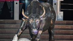 What Is A Multibagger Stock? Here’s How To Identify One