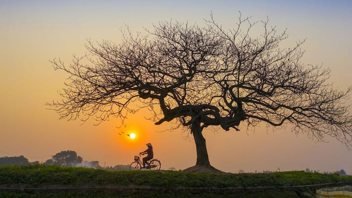 ‘একাকীত্বই জীবনে সৌন্দর্য এনে দেয়। সূর্যাস্তের সময় বিষাদ গ্রাস করলেও, রাতের সুগন্ধী অনুভব করতে পারি আমরা।’ ছবি: পিক্সাবে।