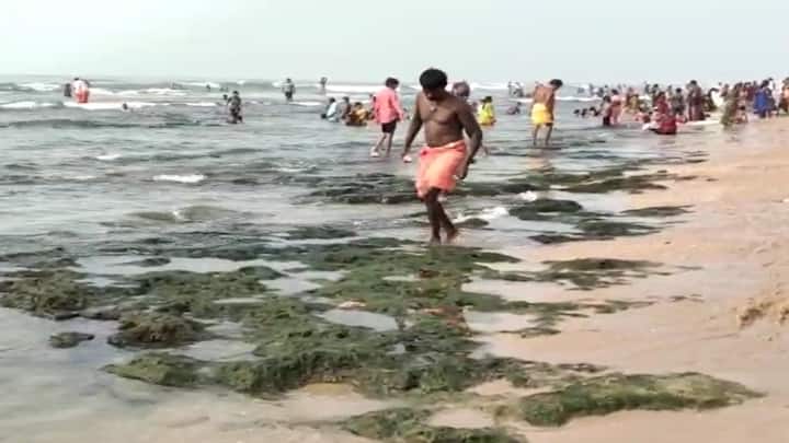 Tiruchendur sea area has absorbed about 100 feet from the shore - TNN Tiruchendur: திருச்செந்தூரில் திடீரென உள்வாங்கிய கடல்... ஆபத்தை உணராமல் குளிக்கும் பக்தர்கள்