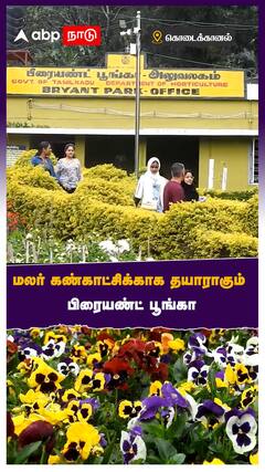 மலர் கண்காட்சிக்காக தயாராகும் பிரையண்ட் பூங்கா