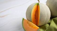 Muskmelon Seeds: ਖਰਬੂਜੇ ਦੇ ਬੀਜ ਬੇਕਾਰ ਨਹੀਂ ਸਗੋਂ ਸਿਹਤ ਲਈ ਹੁੰਦੇ ਫਾਇਦੇਮੰਦ, ਆਹ ਬਿਮਾਰੀਆਂ ਹੋ ਜਾਂਦੀਆਂ ਹਮੇਸ਼ਾ ਲਈ ਦੂਰ