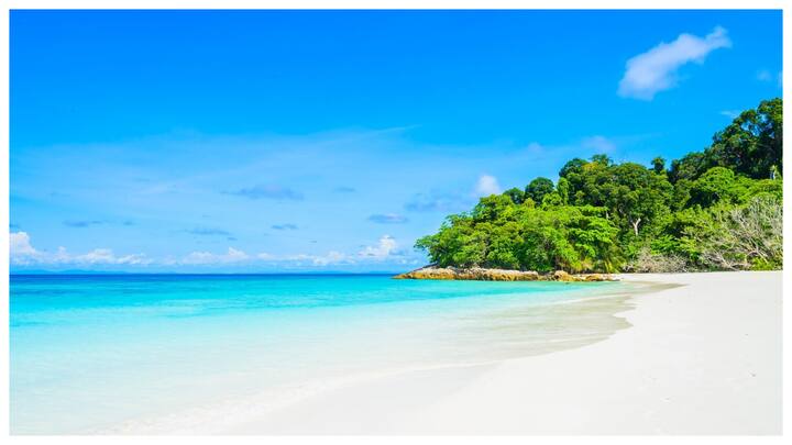 वेम्बनाड झील: यह भारत की एक बड़ी झील है. यहां आप नाव की सैर कर सकते हैं और मछली पकड़ सकते हैं.