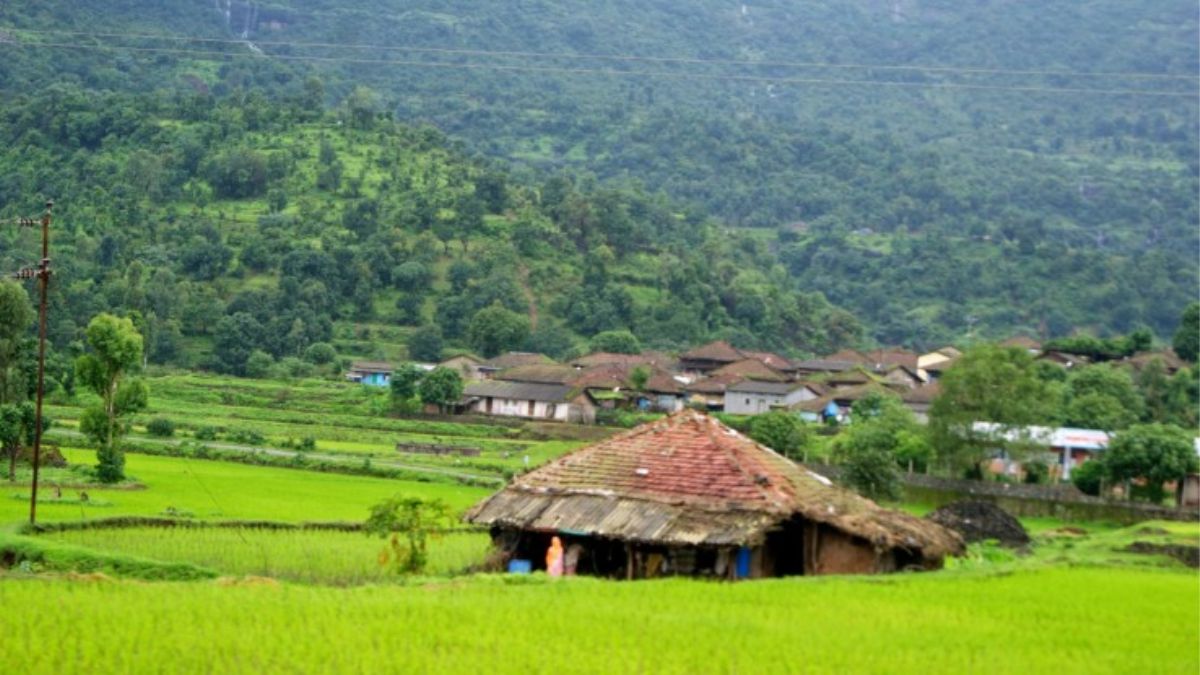 Travel :  एक उनाड दिवस! वन डे पिकनिक मध्ये रिलॅक्स व्हाल! नाशिकच्या 'या' ठिकाणांचं सौंदर्य काही मिनिटांत भुरळ घालेल