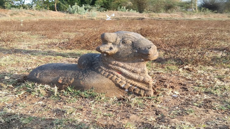 Thanjavur news Nandi and Vishnu statue of Chola era found at Chithrakudi - TNN தஞ்சை அருகே சித்திரக்குடியில் சோழர் காலத்து நந்தி, விஷ்ணு சிலை கண்டுபிடிப்பு