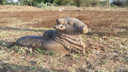 Thanjavur news Nandi and Vishnu statue of Chola era found at Chithrakudi - TNN தஞ்சை அருகே சித்திரக்குடியில் சோழர் காலத்து நந்தி, விஷ்ணு சிலை கண்டுபிடிப்பு