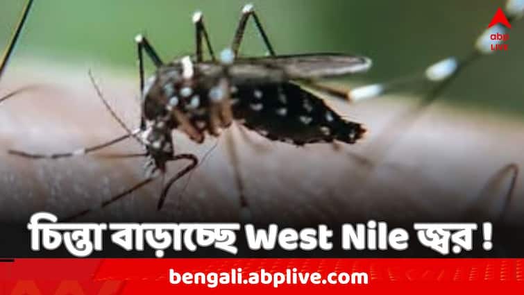 West Nile Fever concern in Kerala Three districts kept on high alert Health Minister Veena George issued instructions