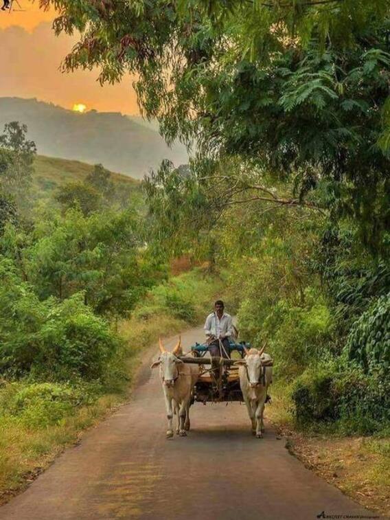 बिहार की राजधानी पटना में कितने गांव हैं?