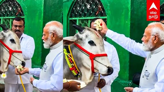 PM Modi Worships Cow : 