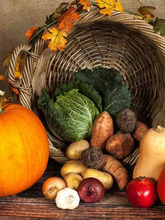 मई में घर पर लगाएं ये पौधे, सब्जी का खर्च होगा काम!