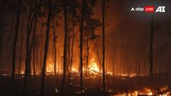 उत्तराखंड के जंगलों में आग का तांडव, अब तक 1038 घटनाएं हुईं, सीएम ने दिए ये निर्देश
