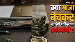 पाकिस्तान अब गांजे से बूस्ट करेगा अपनी इकोनॉमी, क्या आप जानते हैं वहां गांजे को लेकर क्या हैं नियम?