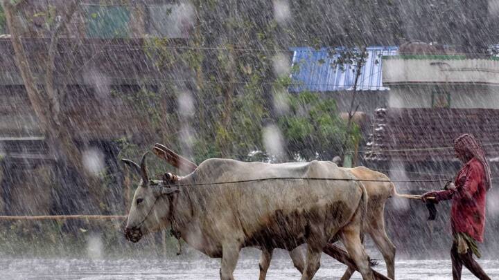 হাওয়া অফিসের তরফে জানানো হয়েছে, আজ সন্ধ্যা সাড়ে ৬ টার পর থেকে আগামী ২ থেকে ৩ ঘন্টা নদিয়া, পূর্ব  ও পশ্চিম বর্ধমান, কলকাতা, উত্তর  ও দক্ষিণ ২৪ পরগণায় বজ্রবিদ্যুৎ-সহ বৃষ্টি হবে।